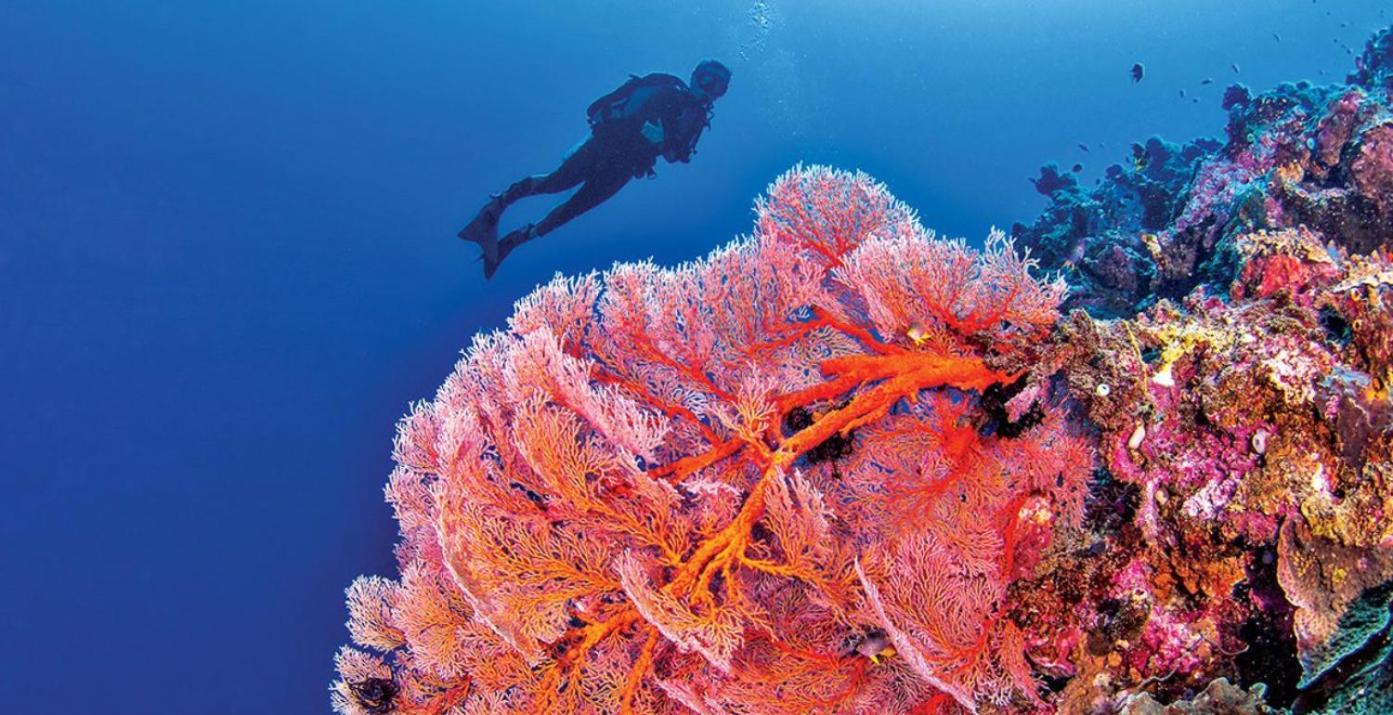 Pristine Paradise Dive Resort - Togean Islands, Una Una Pulau Unauna Exteriér fotografie